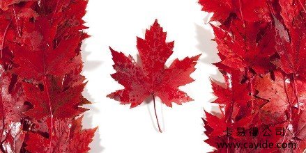 <b>【加拿大枫叶卡】加拿大新福利一览表</b>