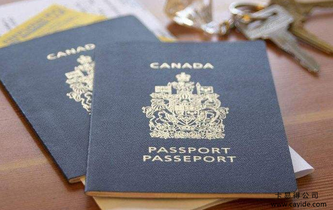申请加拿大签证哪种方式通过率会更高？